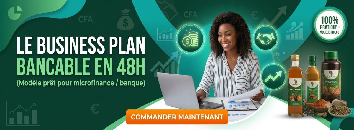 Livre Le Business Plan Bancable en 48h : Modèle Prêt pour Banque & Microfinance