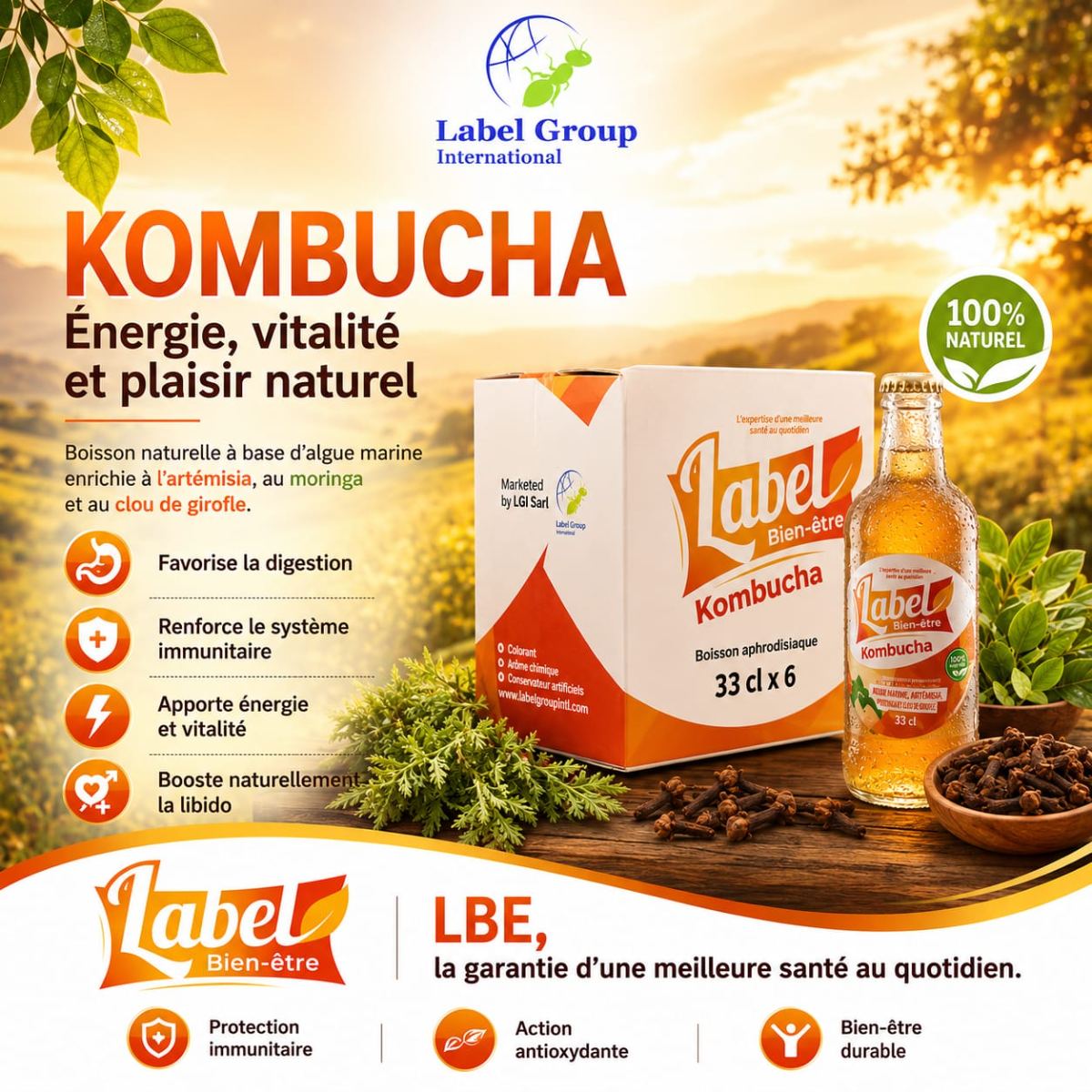 Kombucha