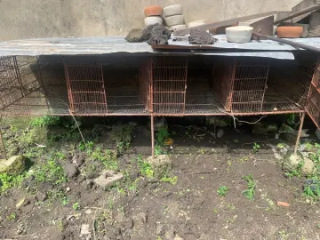 Cage lapin